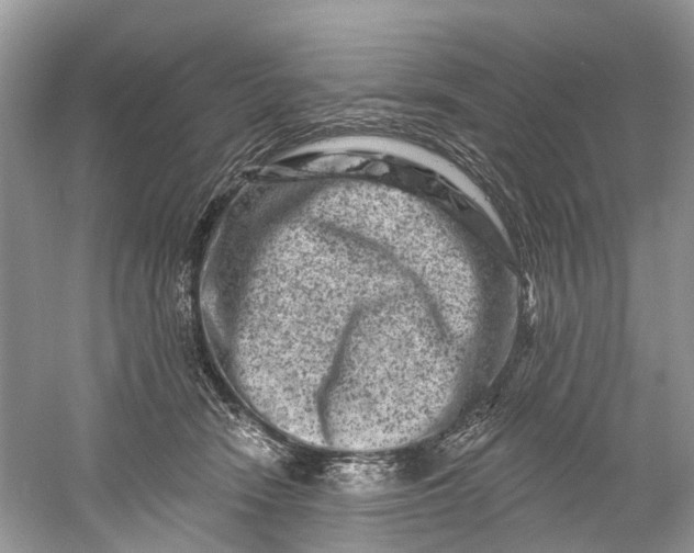 X0000061150466200512022319