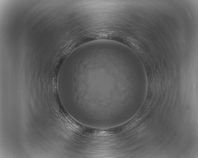 X0000061150467200512022319