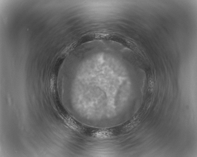 X0000061150468200512022319