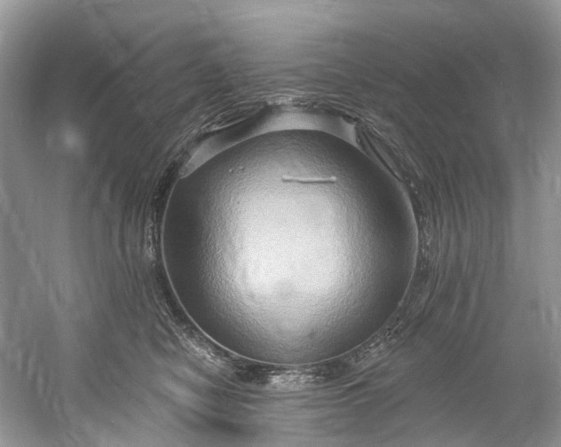 X0000061150470200512022319