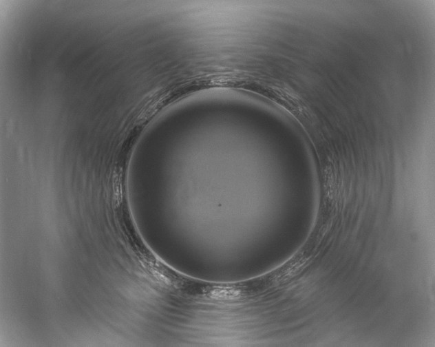 X0000061150471200512022319