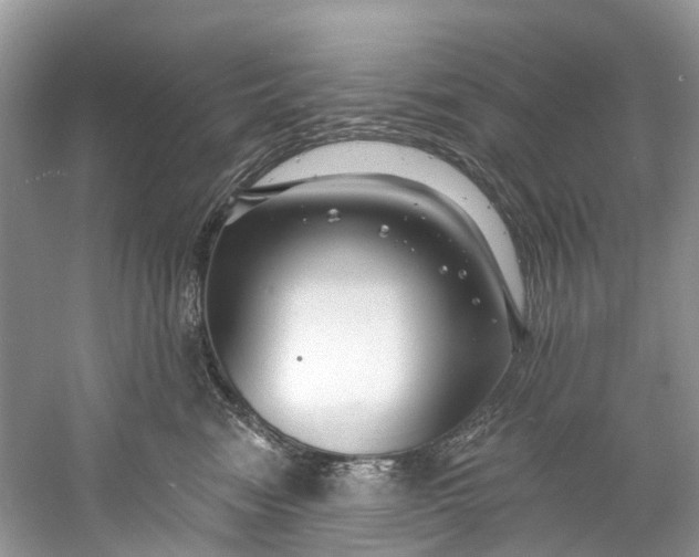 X0000061150474200512022319