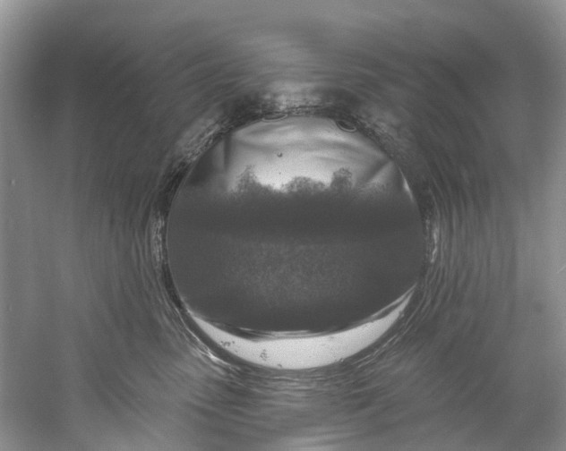 X0000061150475200512022319