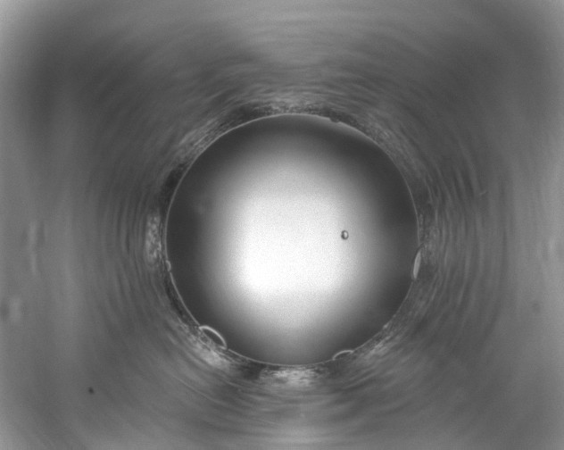 X0000061150478200512022319