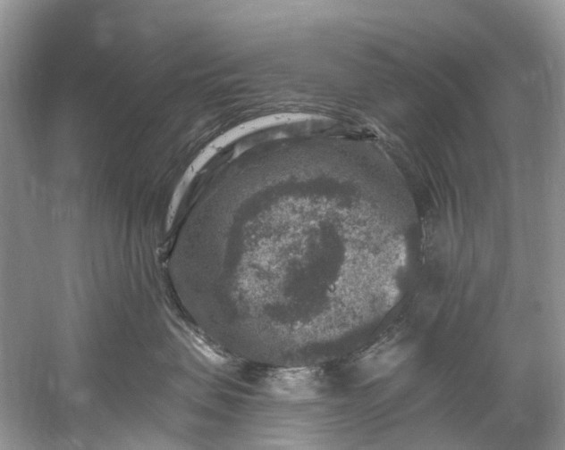 X0000061150479200512022319