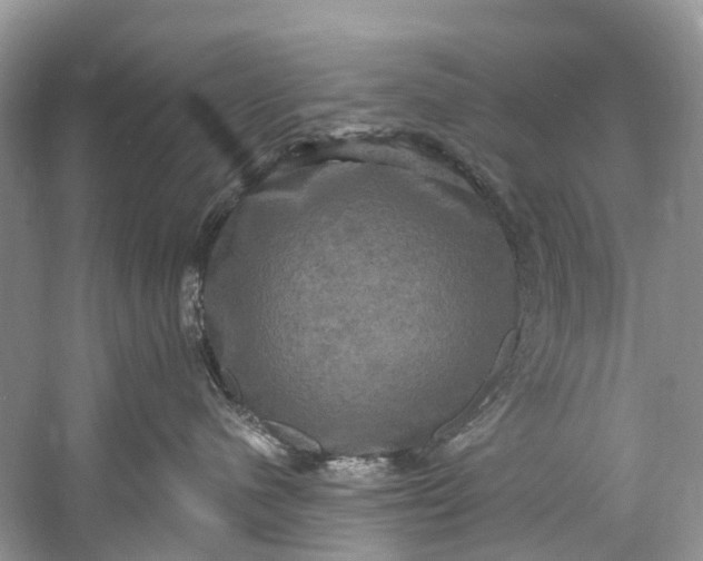 X0000061150480200512022319