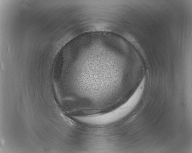 X0000061150481200512022318