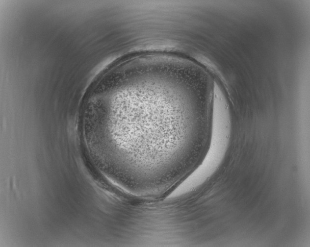 X0000061150483200512022318