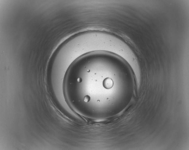 X0000061150484200512022318