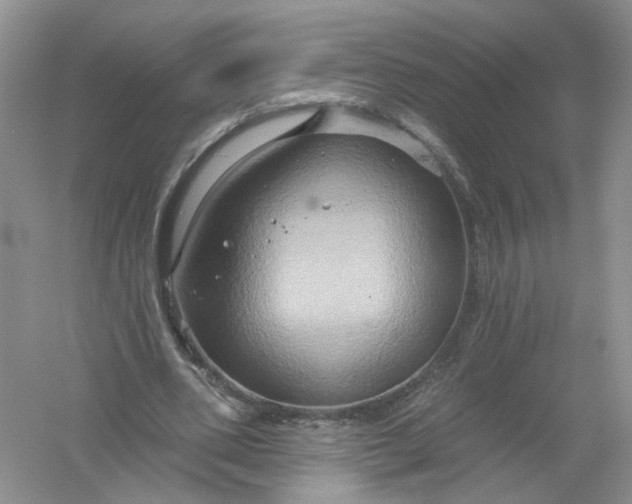 X0000061150486200512022318