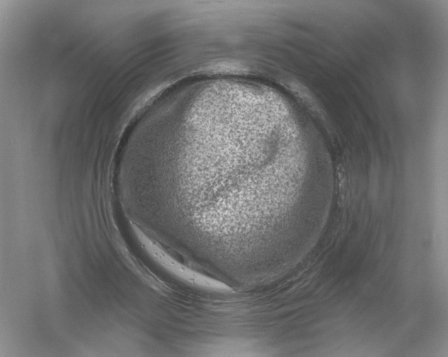 X0000061150487200512022318