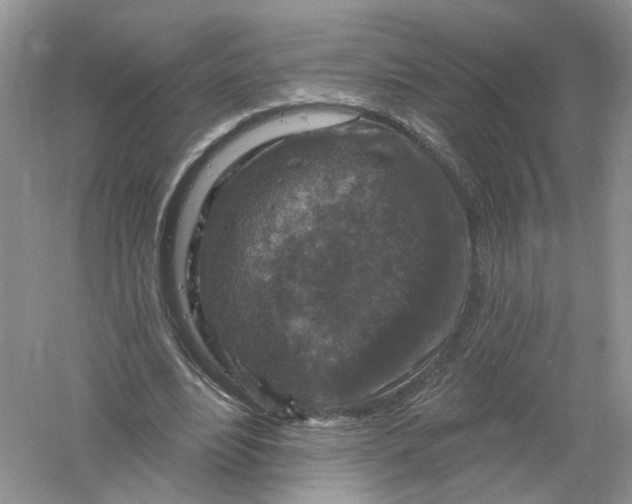 X0000061150488200512022318