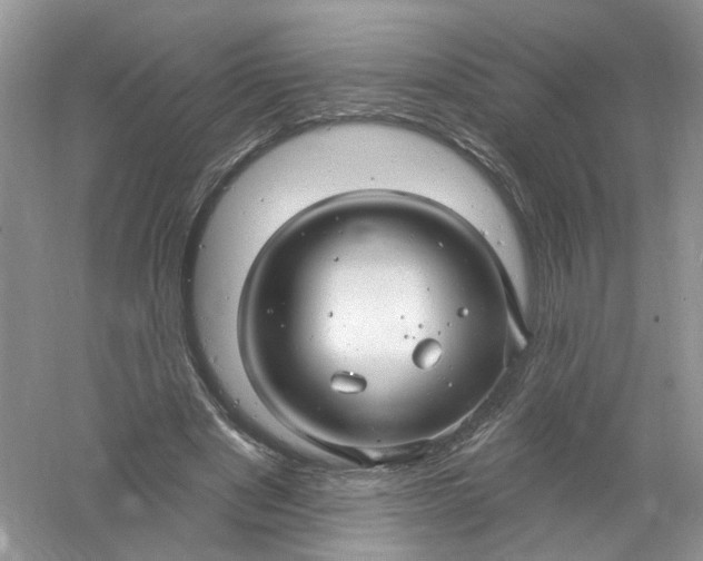 X0000061150489200512022318