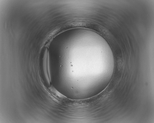 X0000061150490200512022318