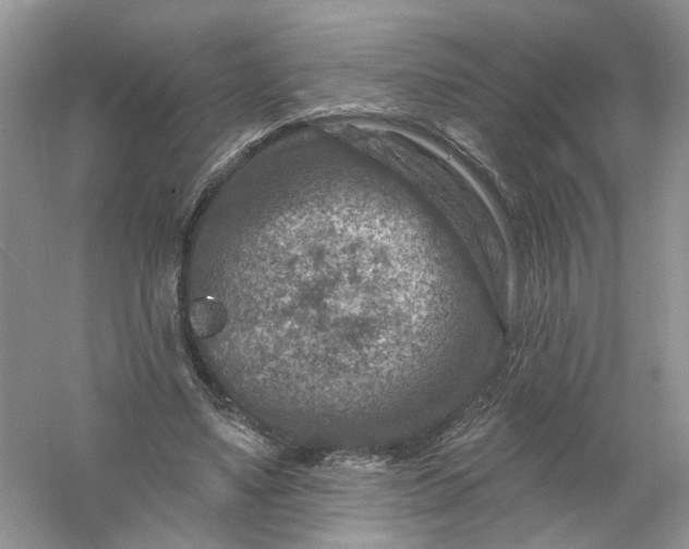 X0000061150491200512022318