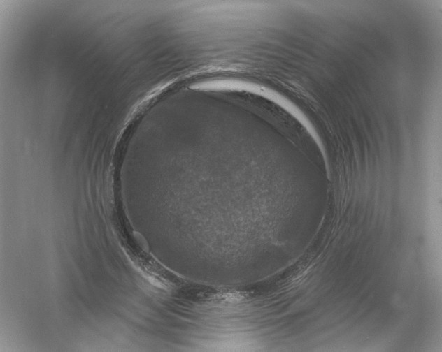 X0000061150492200512022318