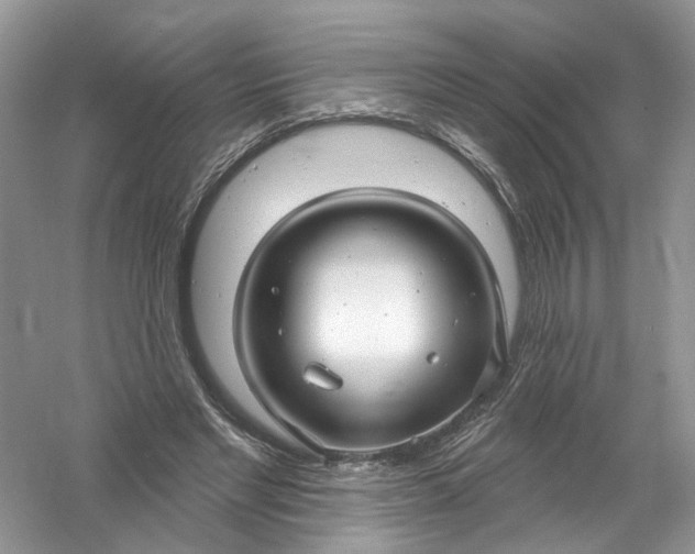 X0000061150493200512022318