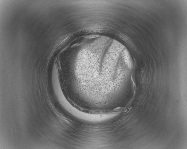 X0000061150494200512022318