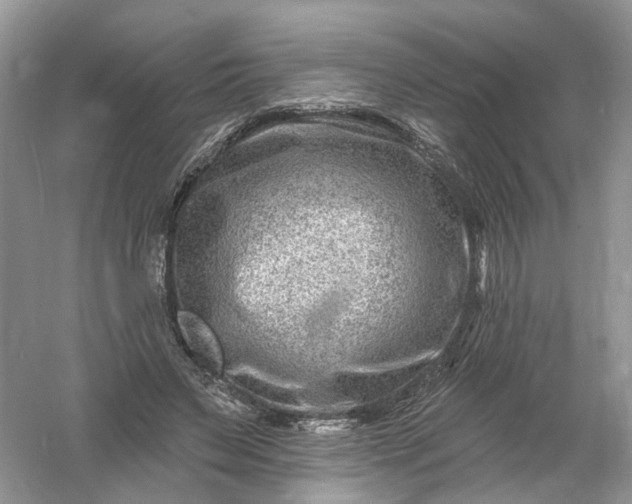 X0000061150495200512022318