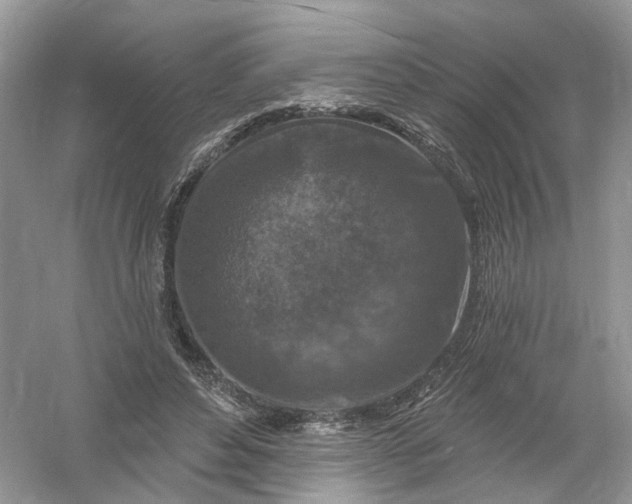 X0000061150496200512022318