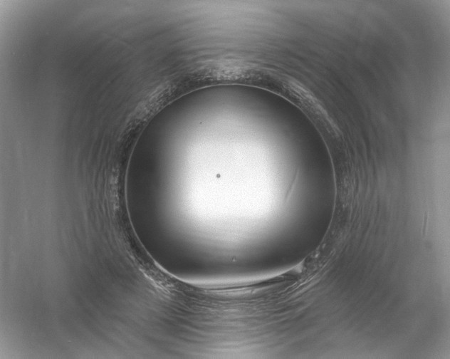 X0000061150497200512022318