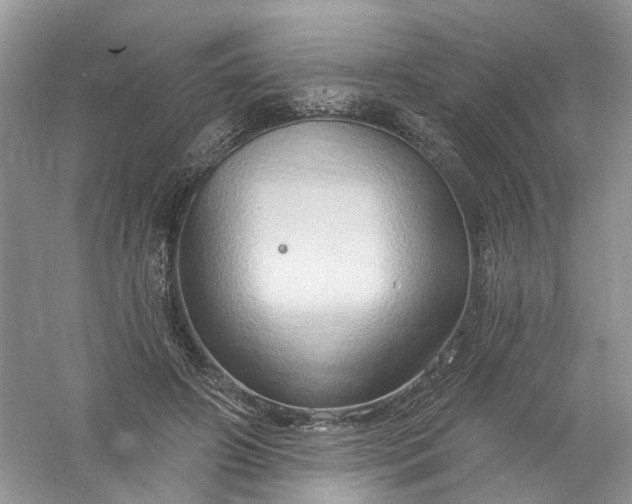 X0000061150498200512022318