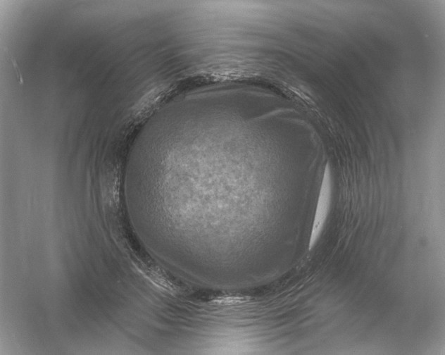 X0000061150499200512022318