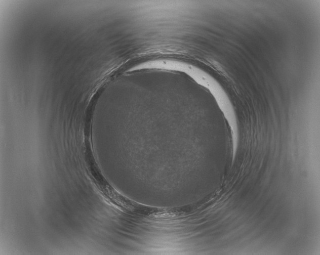 X0000061150500200512022318