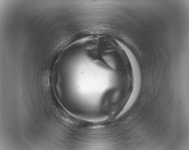 X0000061150501200512022318