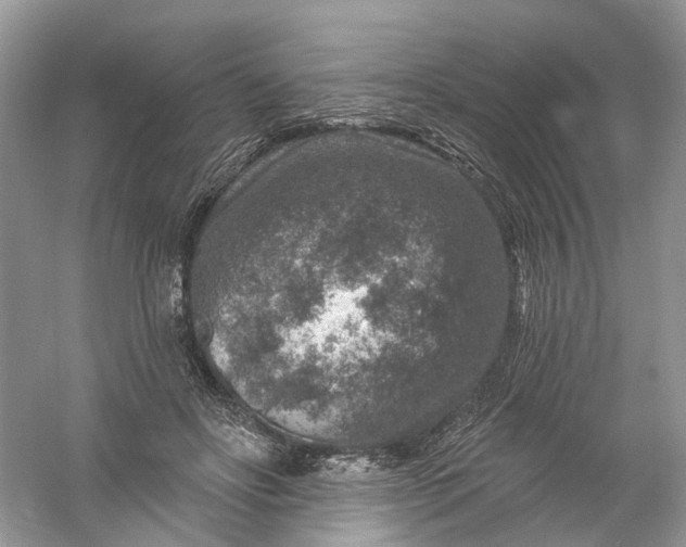 X0000061150502200512022318