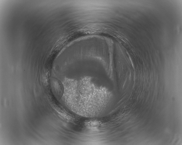 X0000061150503200512022318