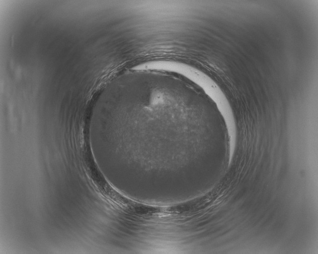 X0000061150504200512022318