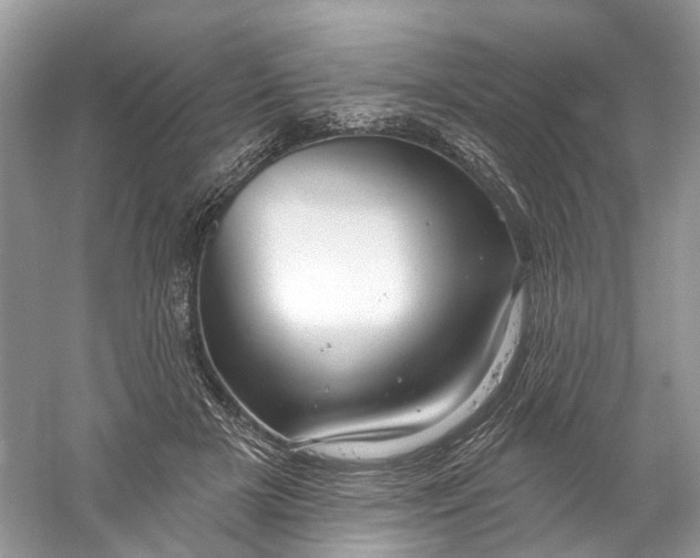 X0000061150505200512022318