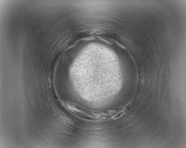 X0000061150506200512022318