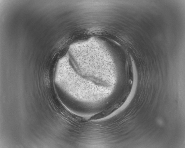 X0000061150508200512022318