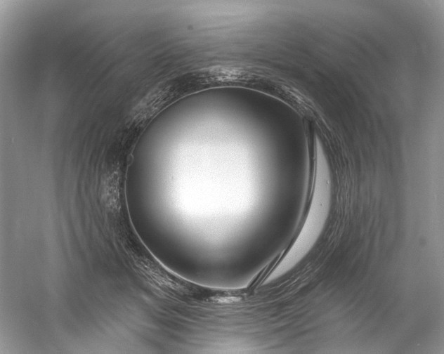 X0000061150509200512022318