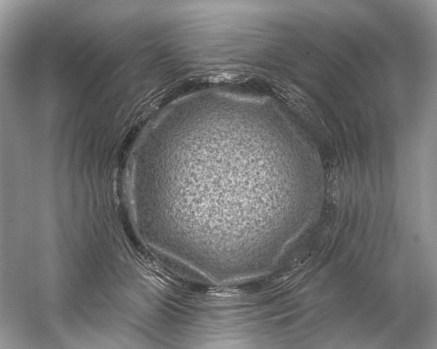 X0000061150510200512022318