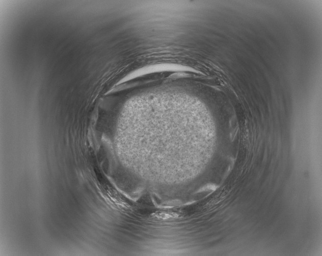 X0000061150512200512022318