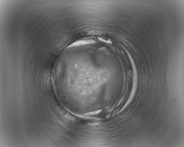 X0000061150513200512022318