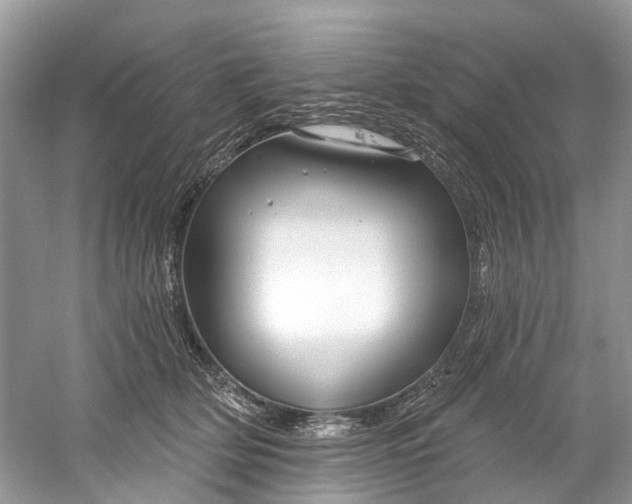 X0000061150514200512022318