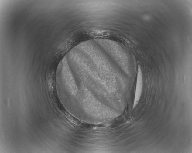 X0000061150515200512022318