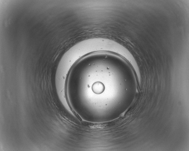 X0000061150516200512022318