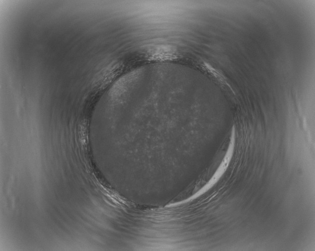 X0000061150517200512022318