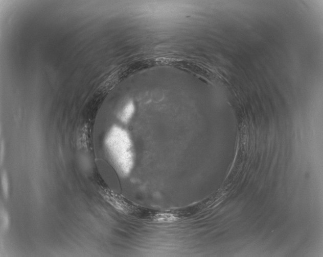 X0000061150519200512022318