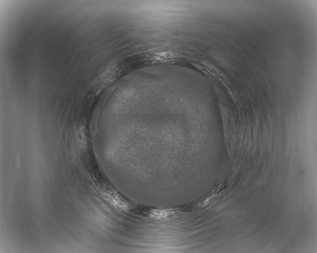 X0000061150520200512022318