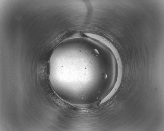 X0000061150521200512022318