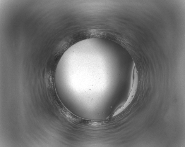 X0000061150522200512022318