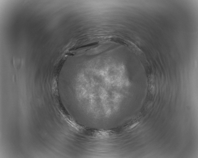 X0000061150523200512022318