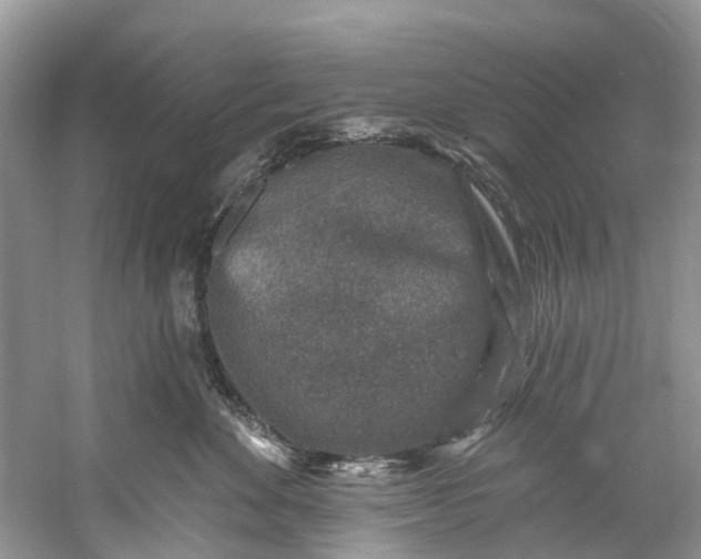 X0000061150524200512022318