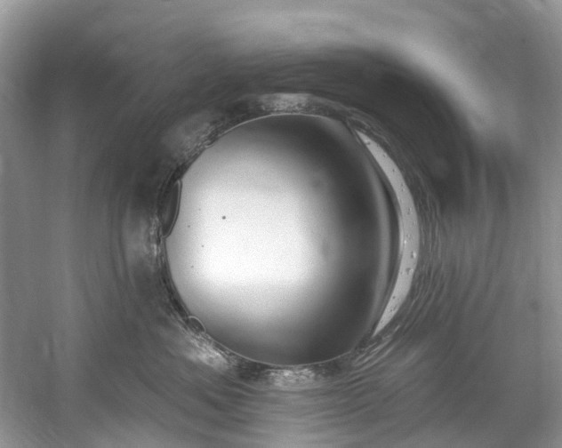 X0000061150525200512022318